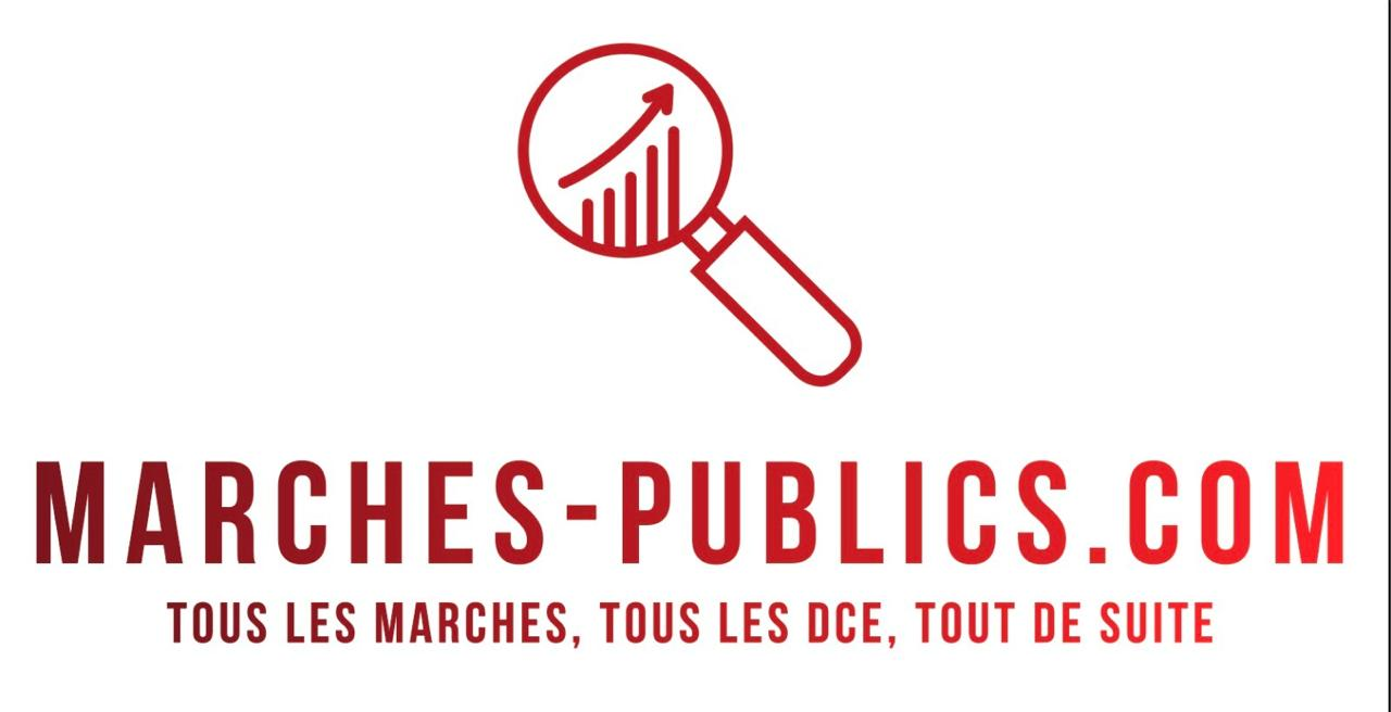 assistance Ã  maitrise d'ouvrage et accompagnement pour la candidature de la RÃ©gion Sud aux Jeux Olympiques d'hiver